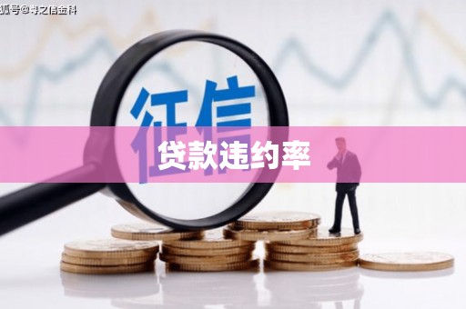 月湖贷款违约率