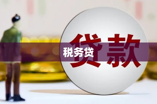月湖税务贷