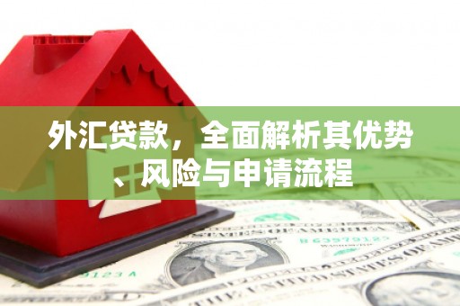 月湖外汇贷款，全面解析其优势、风险与申请流程