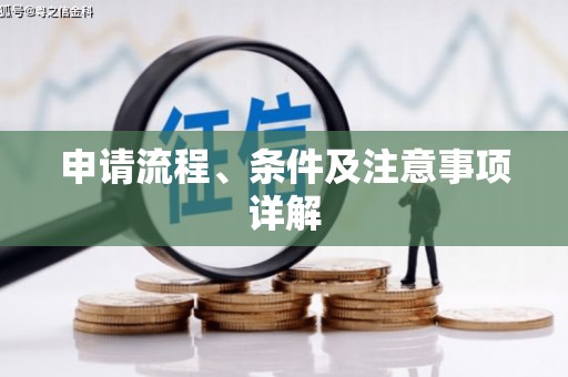 月湖申请流程、条件及注意事项详解