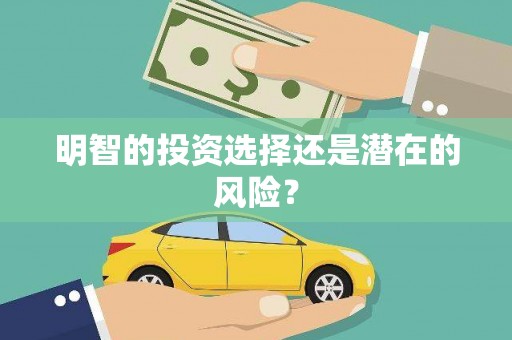 月湖明智的投资选择还是潜在的风险？