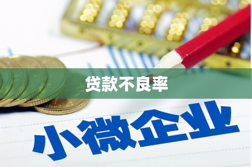 月湖贷款不良率