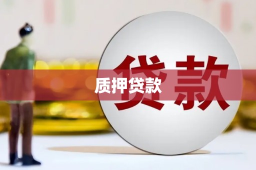 月湖质押贷款