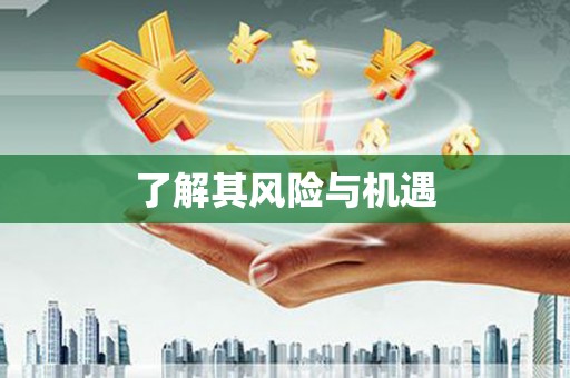 月湖了解其风险与机遇