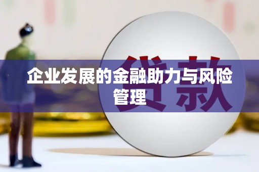 月湖企业发展的金融助力与风险管理