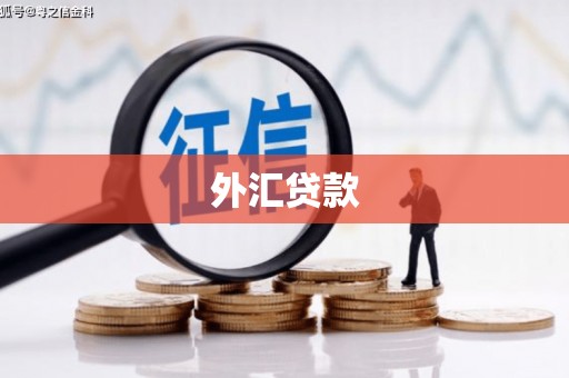 月湖外汇贷款