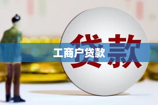 月湖工商户贷款