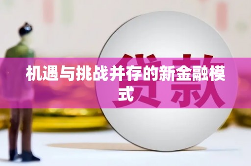 月湖机遇与挑战并存的新金融模式