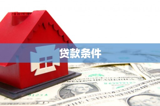 月湖贷款条件