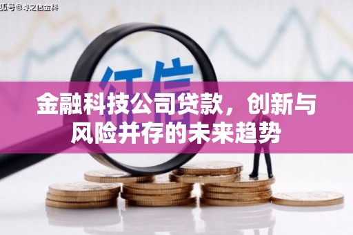 月湖金融科技公司贷款，创新与风险并存的未来趋势