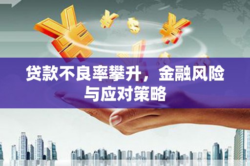 月湖贷款不良率攀升，金融风险与应对策略
