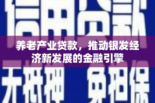 月湖养老产业贷款，推动银发经济新发展的金融引擎