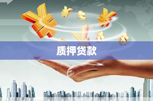 月湖质押贷款
