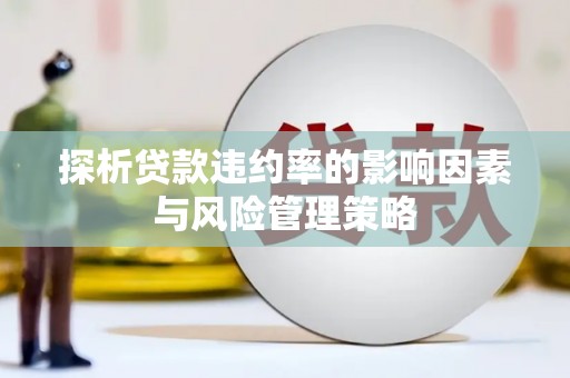 月湖探析贷款违约率的影响因素与风险管理策略