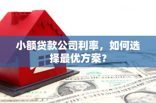 月湖小额贷款公司利率，如何选择最优方案？