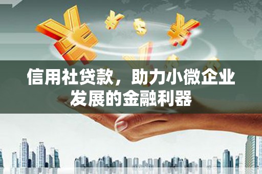 月湖信用社贷款，助力小微企业发展的金融利器