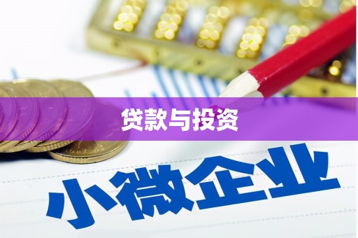 月湖贷款与投资