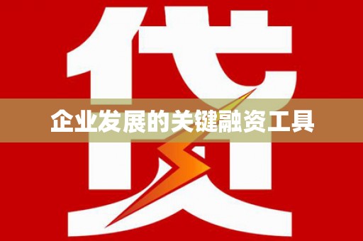 月湖企业发展的关键融资工具