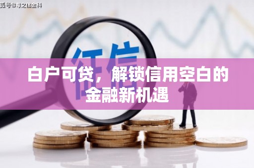 月湖白户可贷，解锁信用空白的金融新机遇