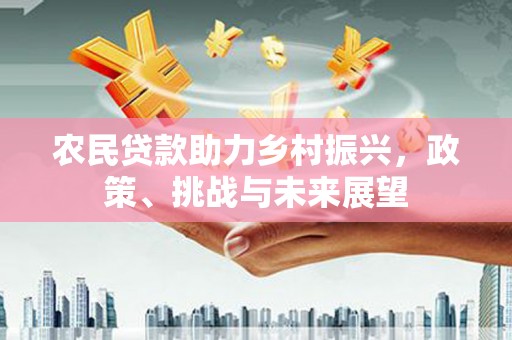 月湖农民贷款助力乡村振兴，政策、挑战与未来展望
