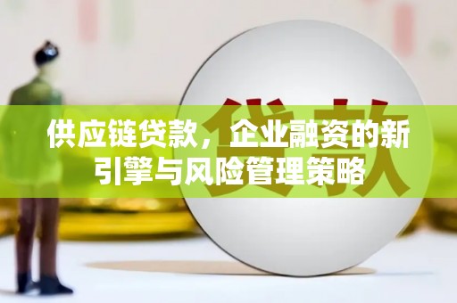 月湖供应链贷款，企业融资的新引擎与风险管理策略