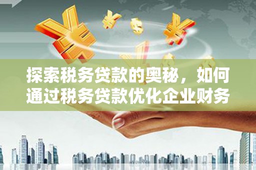 月湖探索税务贷款的奥秘，如何通过税务贷款优化企业财务