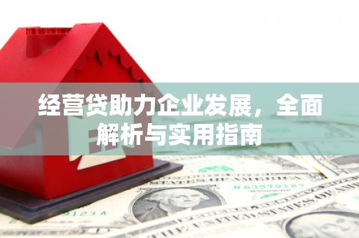 月湖经营贷助力企业发展，全面解析与实用指南
