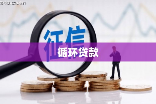 月湖循环贷款