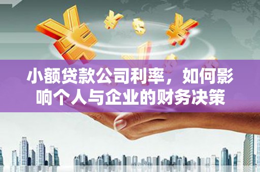 月湖小额贷款公司利率，如何影响个人与企业的财务决策