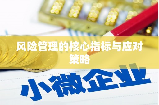 月湖风险管理的核心指标与应对策略