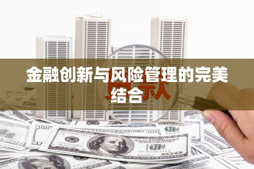 月湖金融创新与风险管理的完美结合