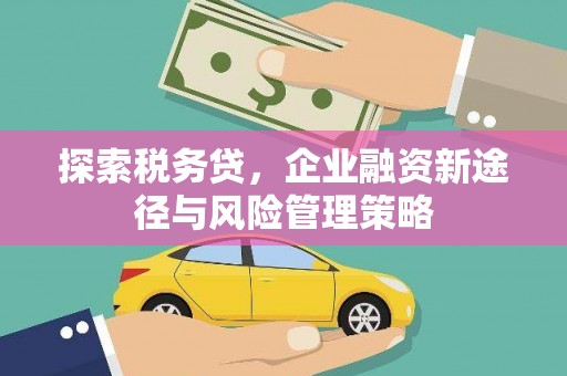 月湖探索税务贷，企业融资新途径与风险管理策略