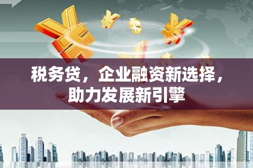 月湖税务贷，企业融资新选择，助力发展新引擎