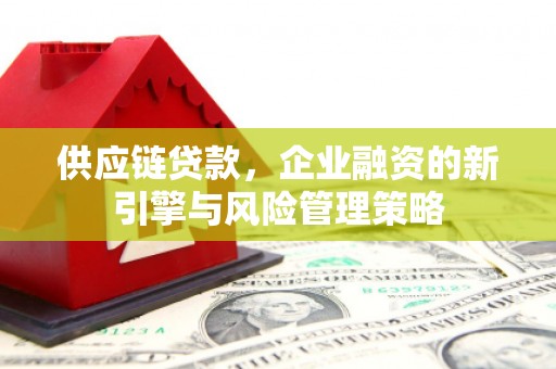 月湖供应链贷款，企业融资的新引擎与风险管理策略