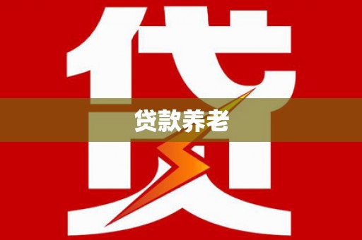 月湖贷款养老