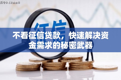 月湖不看征信贷款，快速解决资金需求的秘密武器