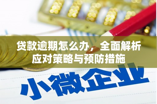 月湖贷款逾期怎么办，全面解析应对策略与预防措施
