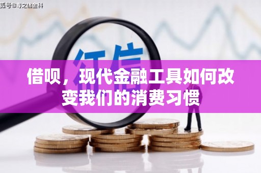 月湖借呗，现代金融工具如何改变我们的消费习惯