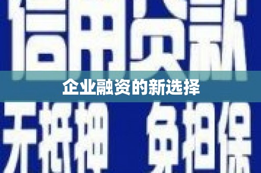 月湖企业融资的新选择
