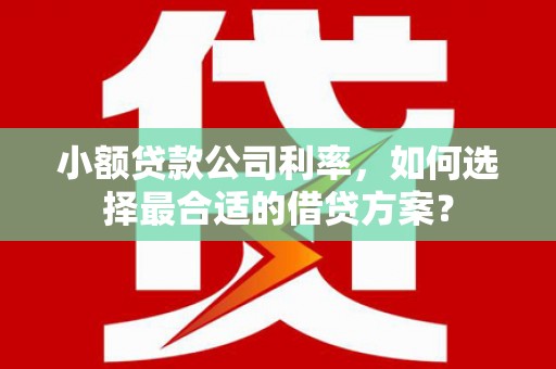 月湖小额贷款公司利率，如何选择最合适的借贷方案？