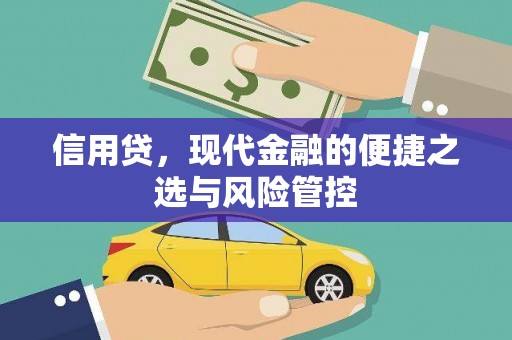 月湖信用贷，现代金融的便捷之选与风险管控