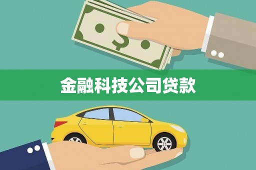 月湖金融科技公司贷款