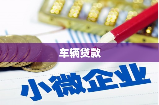 月湖车辆贷款
