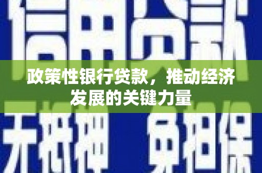 月湖政策性银行贷款，推动经济发展的关键力量