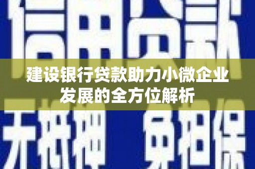 月湖建设银行贷款助力小微企业发展的全方位解析