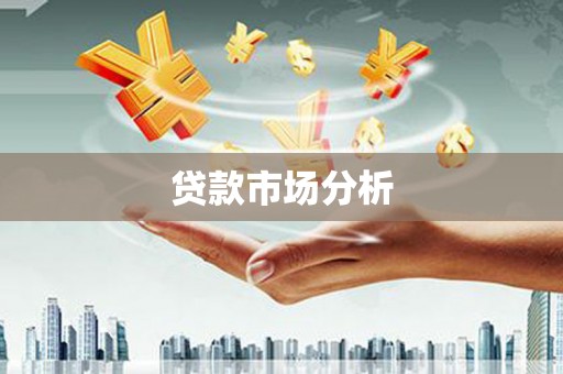 月湖贷款市场分析