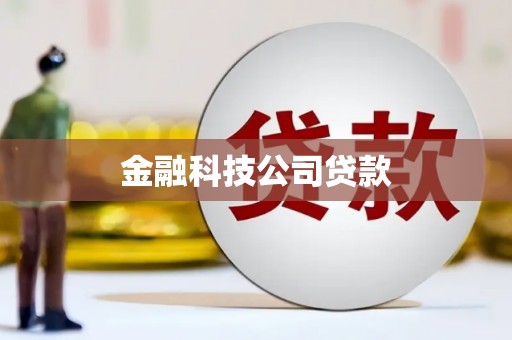 月湖金融科技公司贷款