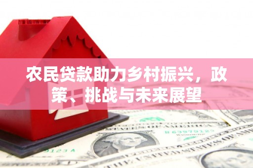 月湖农民贷款助力乡村振兴，政策、挑战与未来展望