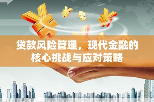 月湖贷款风险管理，现代金融的核心挑战与应对策略