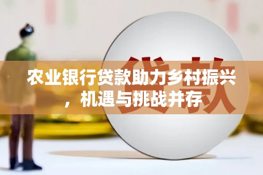 月湖农业银行贷款助力乡村振兴，机遇与挑战并存